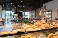 Arts Bakkers - Bergen