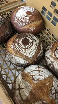 Bakkerij Schreuder