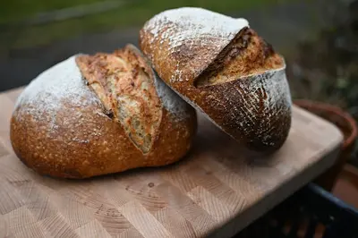 Haver & Zout Bakkerij van Wout