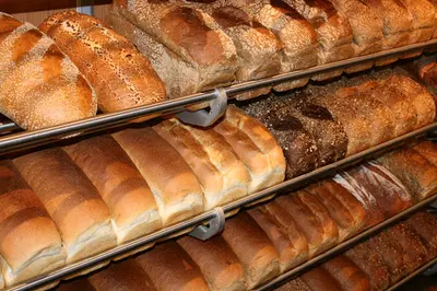 Bakker Docter