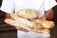 Lekker vers brood