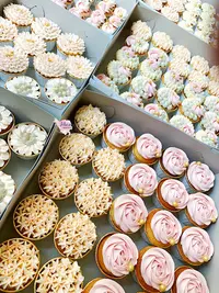 Jolicious Cakes and more