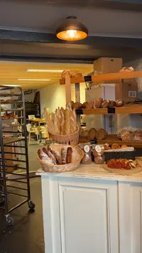 Aart's Brood