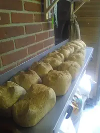 Schwarzwälder Brood